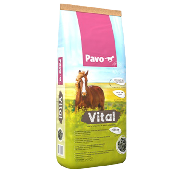 Pavo - Vital